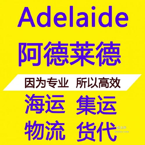 七台河酷易搜代理代办服务全解析