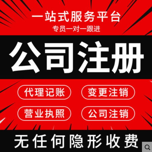 上海普陀区专业执照代办与代理记账服务 高效便捷，价格优惠